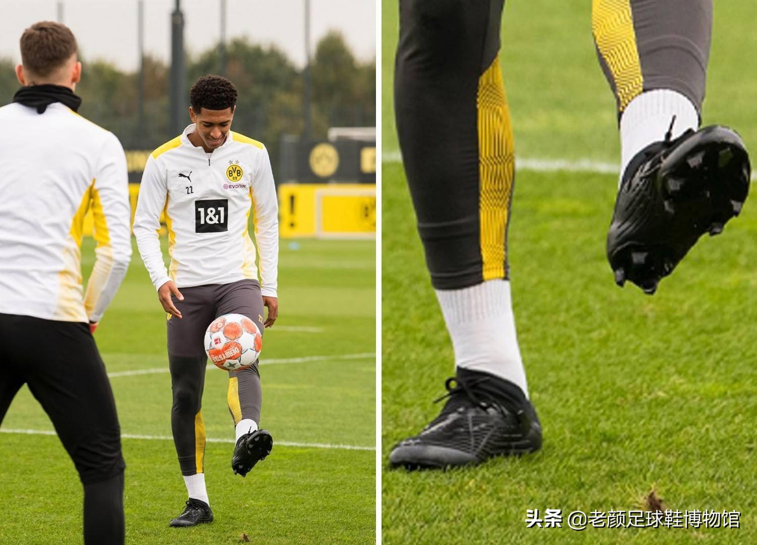 至关重要的 至关重要的